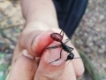 IMG-20181211-WA0013