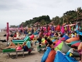 IMG_20181229_182527_688