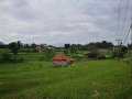 sdr