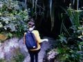 IMG-20190223-WA0032