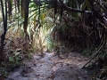 IMG-20190223-WA0043